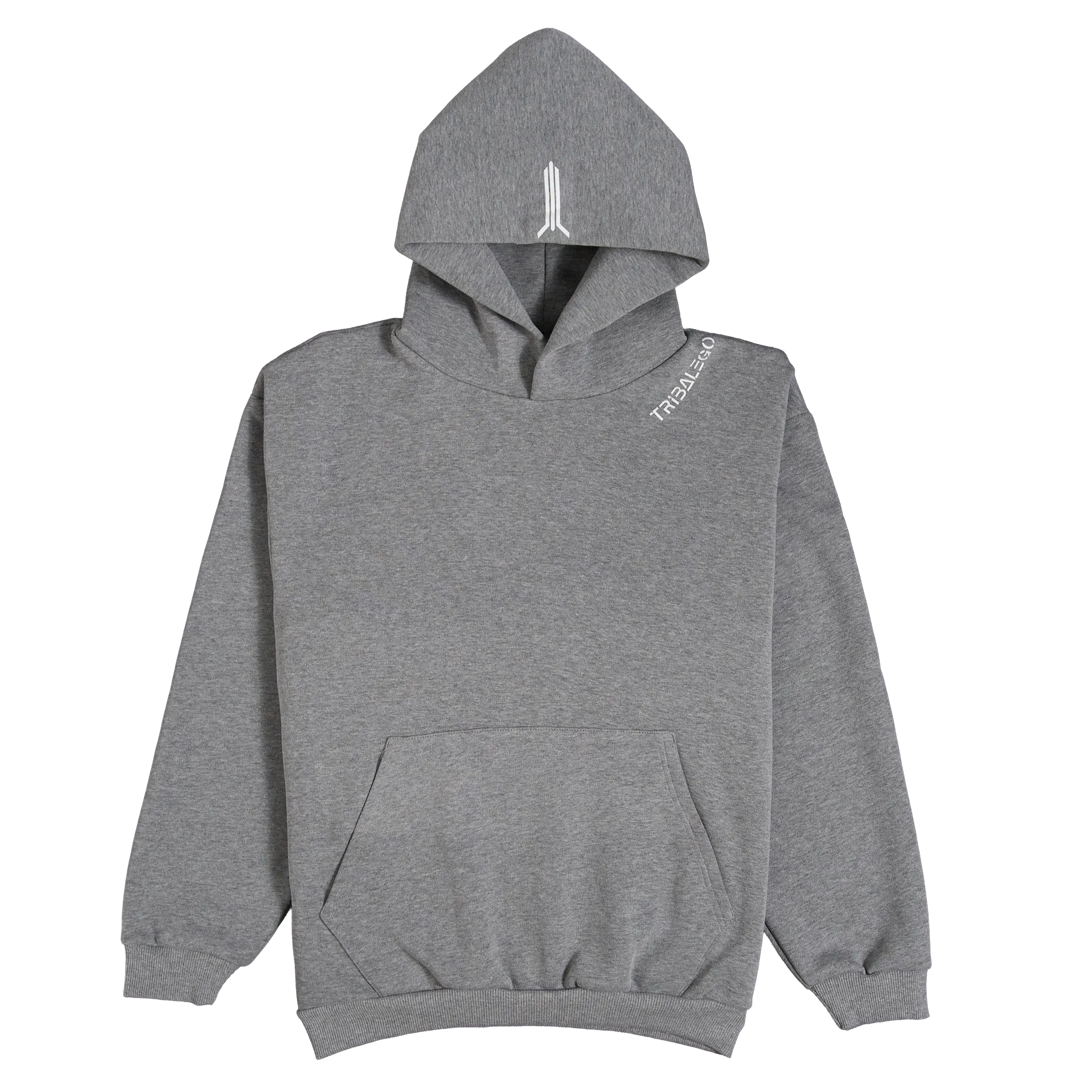 "ASH" Hoodie